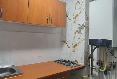 Garsonieră semidecomandată în Valea Rosie - 6