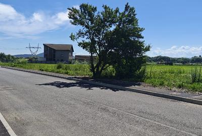 Teren Construcții intravilan de 16650 mp, în 13 Decembrie - 2