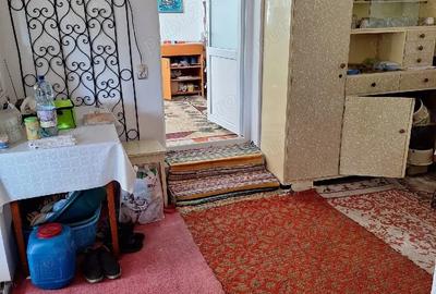 Casă cu Teren 3786 Mp în Sudiți - 1