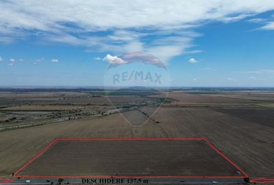 Teren agricol extravilan de 27500 mp, în Tișița - 1