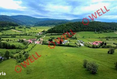 Spațiu comercial, în Sărămaș - 2