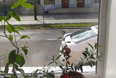 Casă cu 2 camere cu Teren 97 Mp în Central