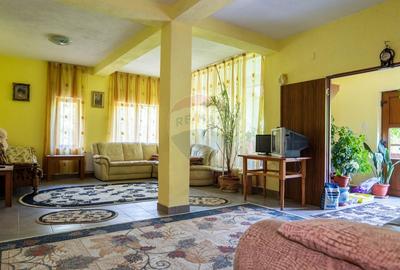 Casă individuală cu 10 camere cu Teren 1348 Mp în Sânbotin - 2