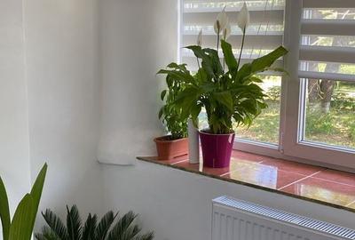Apartament cu 3 camere decomandat în Deveselu - 1