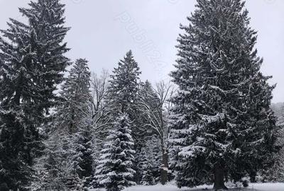 Teren de 4900 mp, în Central - 5