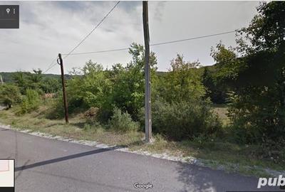 Teren de 9309.7 mp, în Ciuperceni