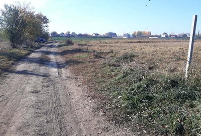 Teren de 150000 mp, în Nord - 3