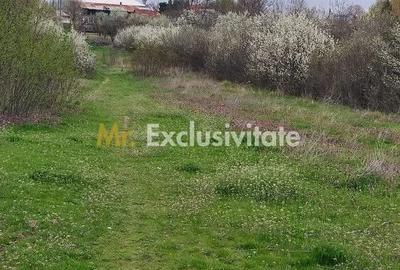 Teren de 3669.61 mp, în Central