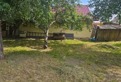 Casă individuală cu 3 camere cu Canalizare în Păstrăveni - 3