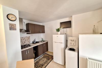 Apartament cu 2 camere decomandat în Big-Bascov - 15