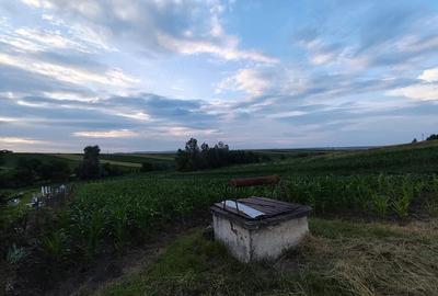 Teren de 2600 mp, în Udești