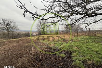 Casă cu 3 camere cu Teren 2500 Mp în Cetatea de Baltă - 14