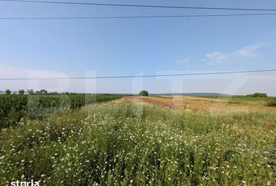 Teren de 3000 mp, în Comișani