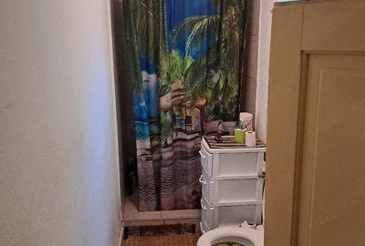 Casă cu 3 camere cu Teren 5836 Mp în Bădulești - 5