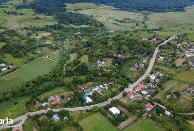 Teren de 220000 mp, în Filipeni