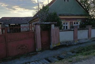 Casă cu Teren 6345 Mp în Săldăbagiu de Barcău - 3