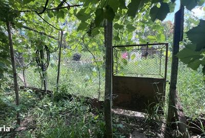Casă cu 4 camere în Olteni