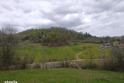 Teren de 28455 mp, în Bistrița Lac