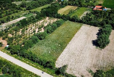 Teren de 2900 mp, în Fârliug - 8