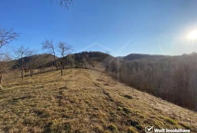 Casă individuală cu 4 camere cu Teren 8000 Mp în Ciucea - 6