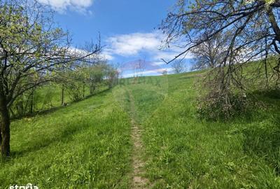 Teren de 4733 mp, în Drajna