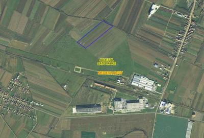Teren de 40000 mp, în Medieșu Aurit - 1