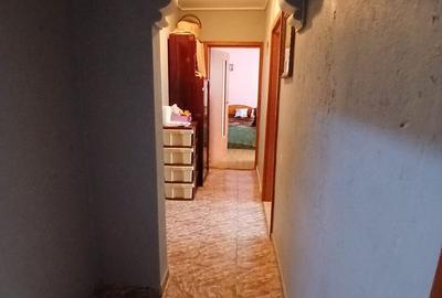 Apartament cu 3 camere decomandat în Delfinariu - 3