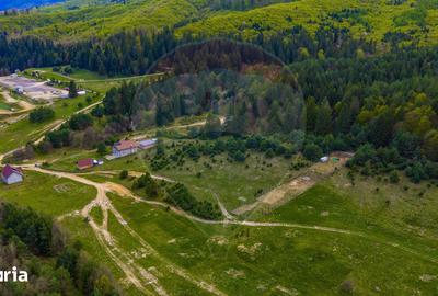Teren de 10000 mp, în Brebina