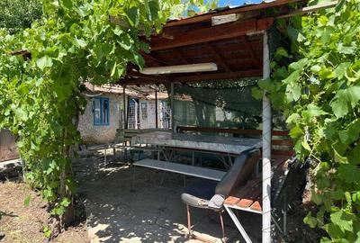 Casă cu 4 camere în Târnava - 8