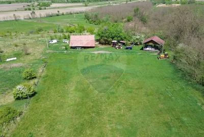 Teren de 659000 mp, în Copșa Mică - 2
