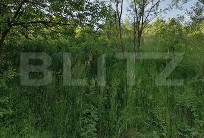 Teren de 14400 mp, în Gemenea-Brătulești - 3