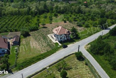 Casă cu 6 camere cu Teren 14710 Mp în Șuici - 16