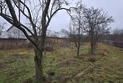 Casă cu Teren 6330 Mp în Poienari - 3