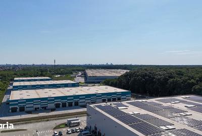 Spațiu comercial, de 10,000 mp, în Afumați - 2
