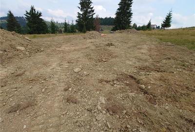 Teren de 7000 mp, în Piatra