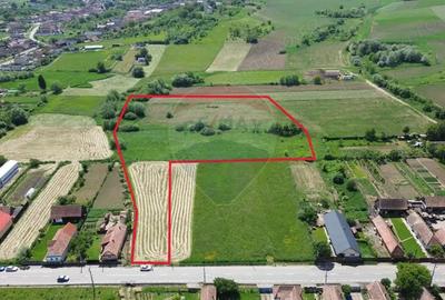 Teren de 15360 mp, în Blăjel - 13