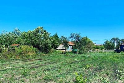 Teren de 1132 mp, în Comana - 1