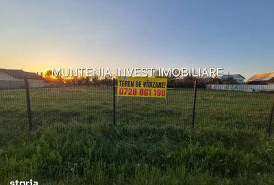 Teren de 3533 mp, în Poiana Lacului - 11