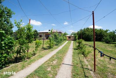 Casă cu 5 camere cu Teren 2000 Mp în Gălbinași - 14