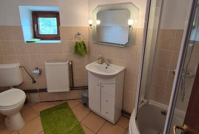Casă individuală cu 4 camere cu Teren 280 Mp în Dunavățu de Jos - 12