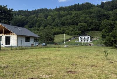 Teren de 3500 mp, în Cuejdiu - 5