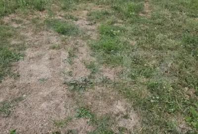 Teren în Găvana