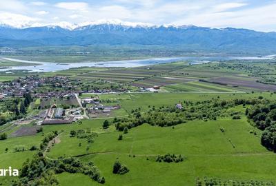 Teren de 500 mp, în Central - 1