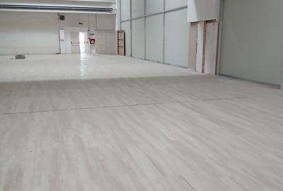 Spațiu industrial, de 1,740 mp, în Vest - 3