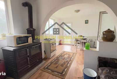Casă cu 6 camere cu Teren 2500 Mp în Bogdănești - 6