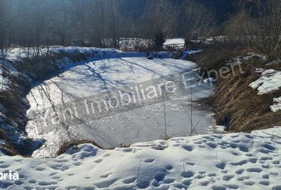Casă cu 3 camere cu Teren 3877 Mp în Valea Danului - 10