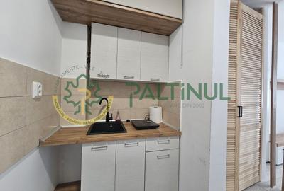 Garsonieră semidecomandată, mobilată în Vasile Aaron - 7