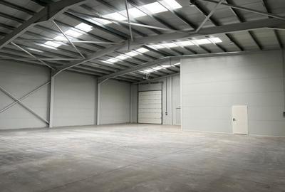Spațiu industrial, de 595 mp, în Rudeni - 3