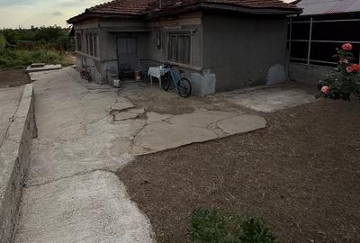 Teren Construcții intravilan de 600 mp, în Cățelu - 2