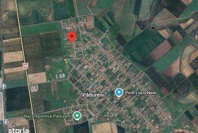 Casă cu 2 camere cu Teren 3184 Mp în Nord - 3
